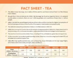 FACT SHEET Tea