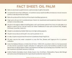 Oil Palm_July2023